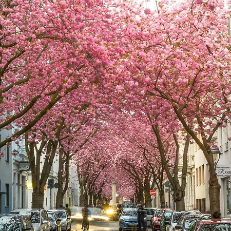 Studio-loft Siebengebirge Westerwald *