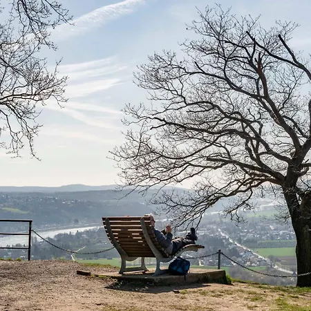 Studio-loft Siebengebirge Westerwald 公寓