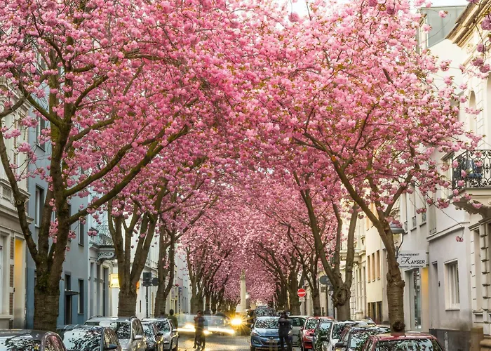 Studio-loft Siebengebirge Westerwald *