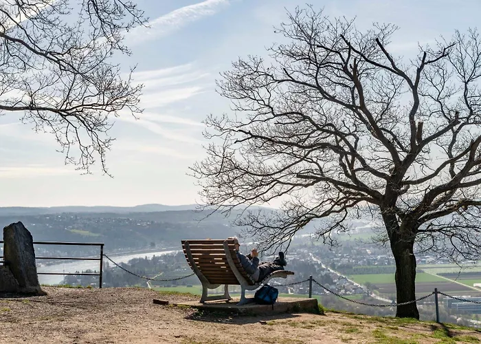 Studio-loft Siebengebirge Westerwald Appartement