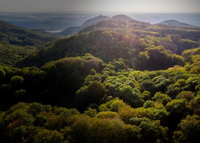 Studio-loft Siebengebirge Westerwald *